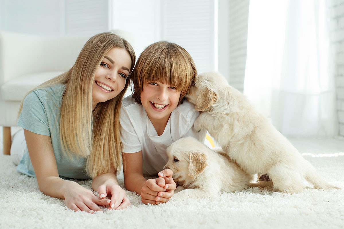 Mum with the child and puppies