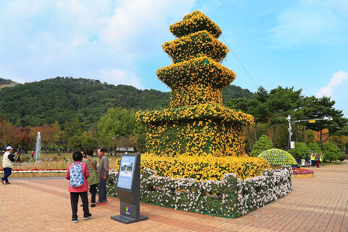 Chrysanthemums festival in Yangsan city