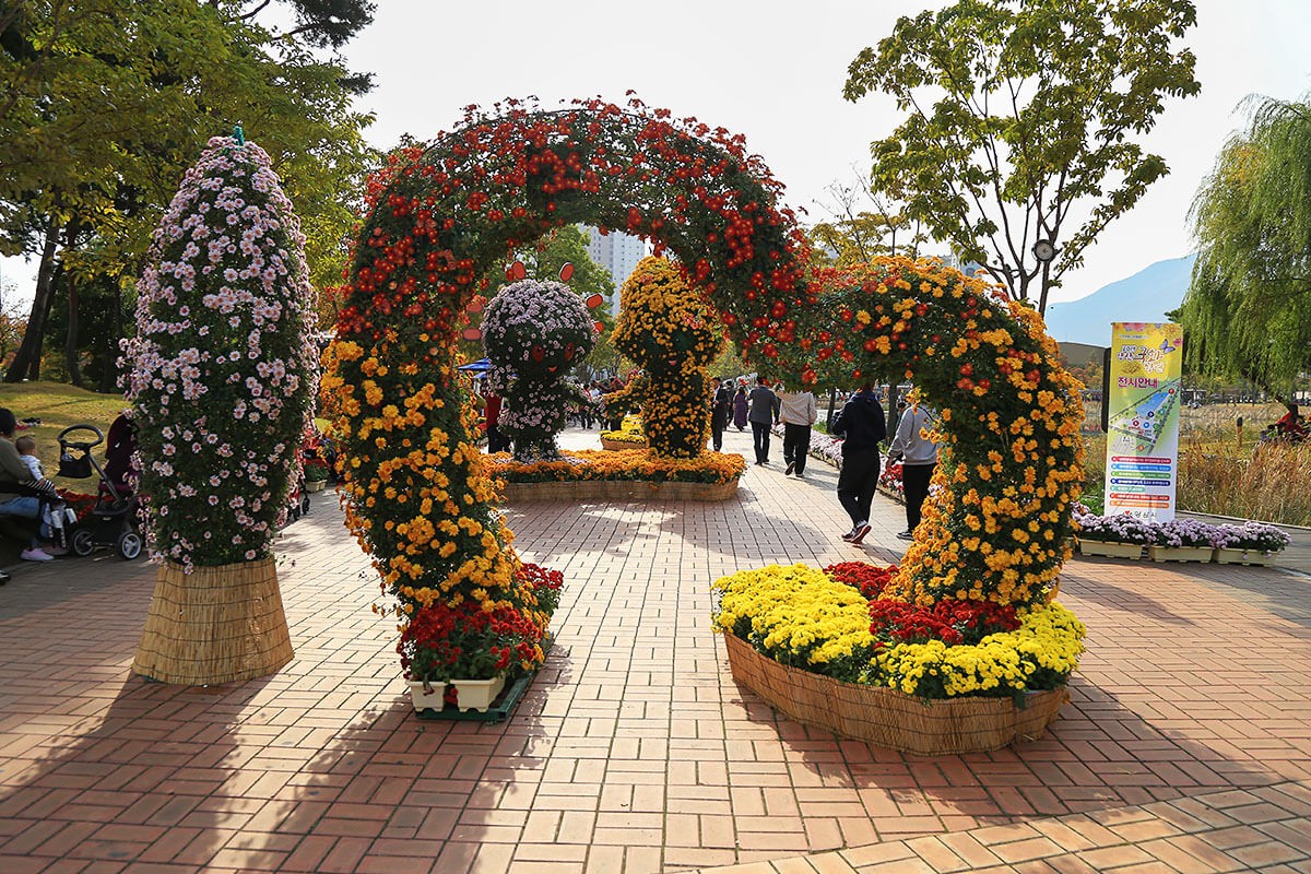 Large flower bed of chrysanthemums in the shape of a heart arch