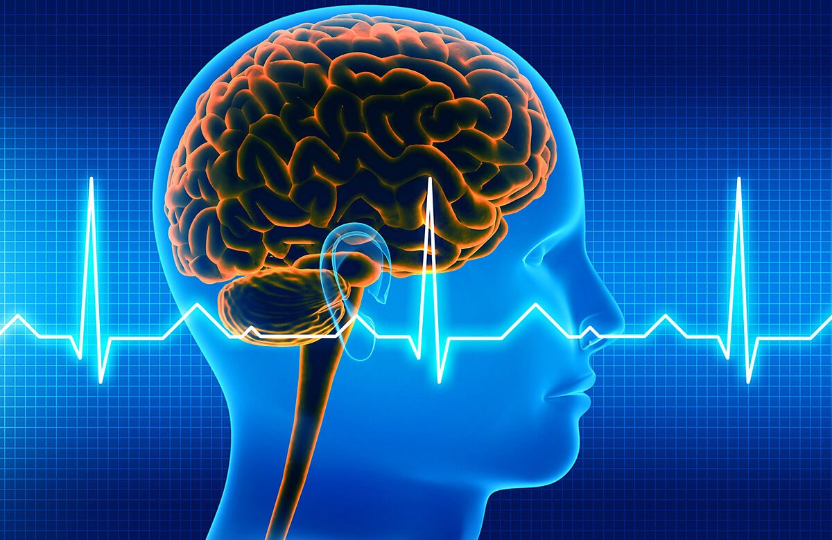 Abstract image of a human head and brain development
