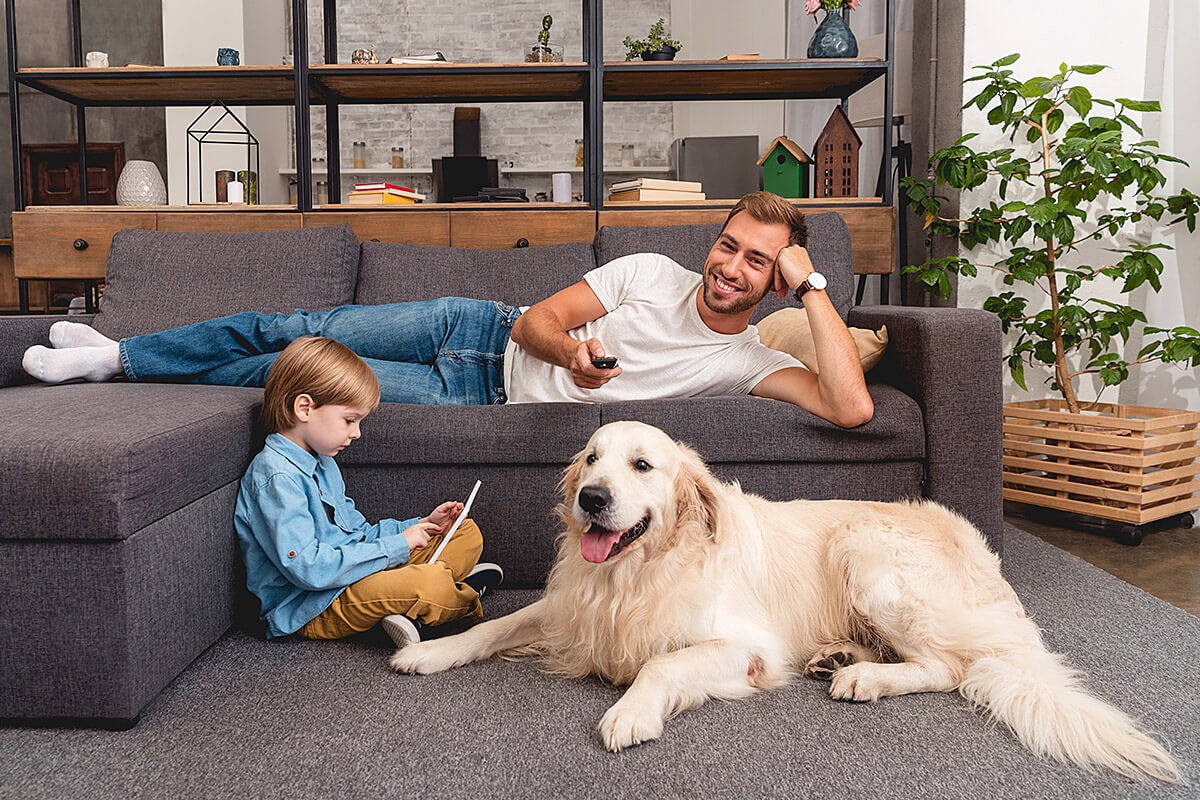 Image of a father watching TV and a child with a dog