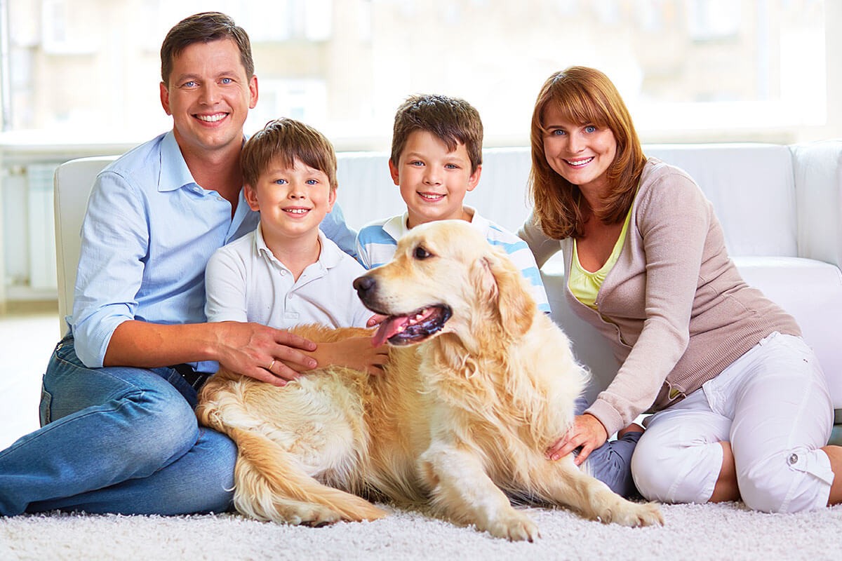 Cheerful family plays at home with a big dog