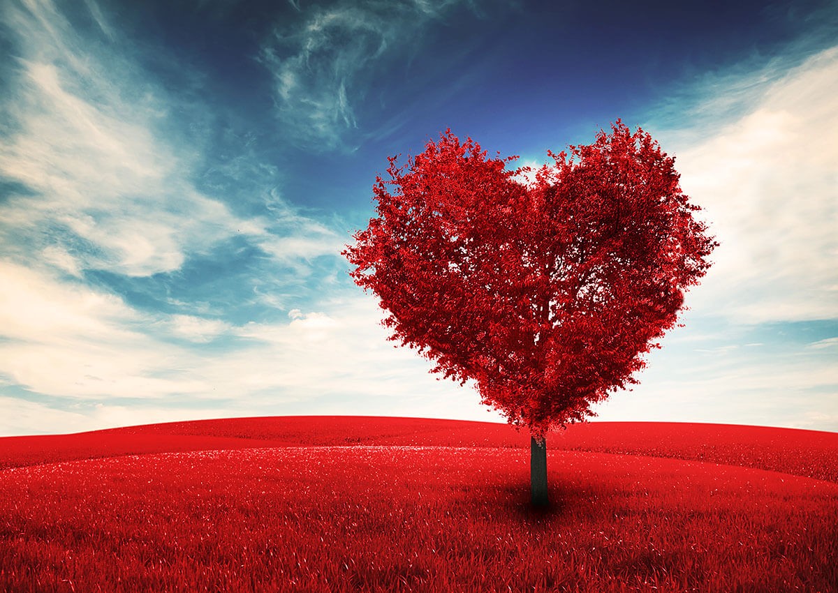 Image of a field with a red tree in the form of a heart