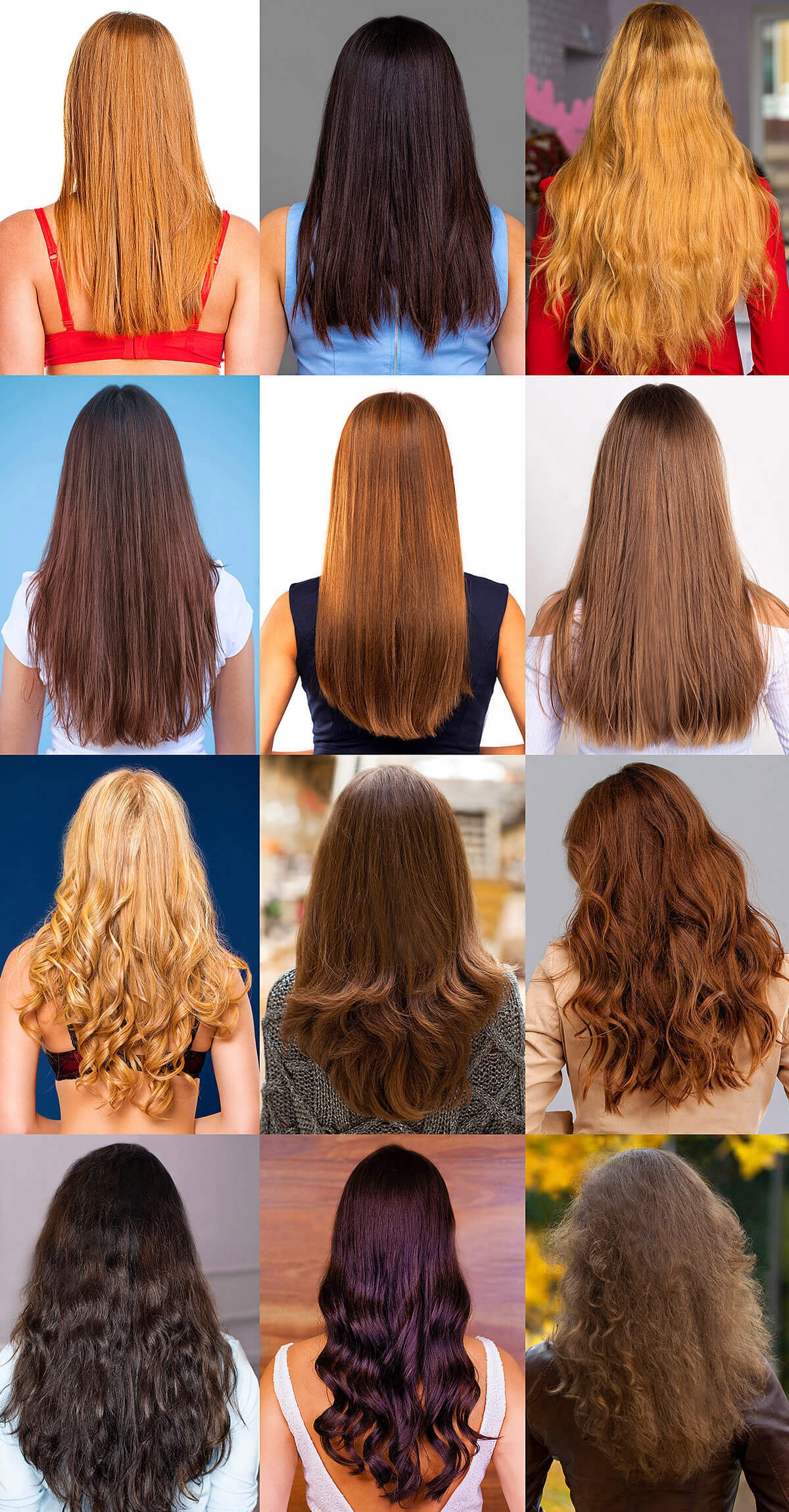 Image of a group of women with different techniques of colored hair Image of a group of women with different techniques of colored hair