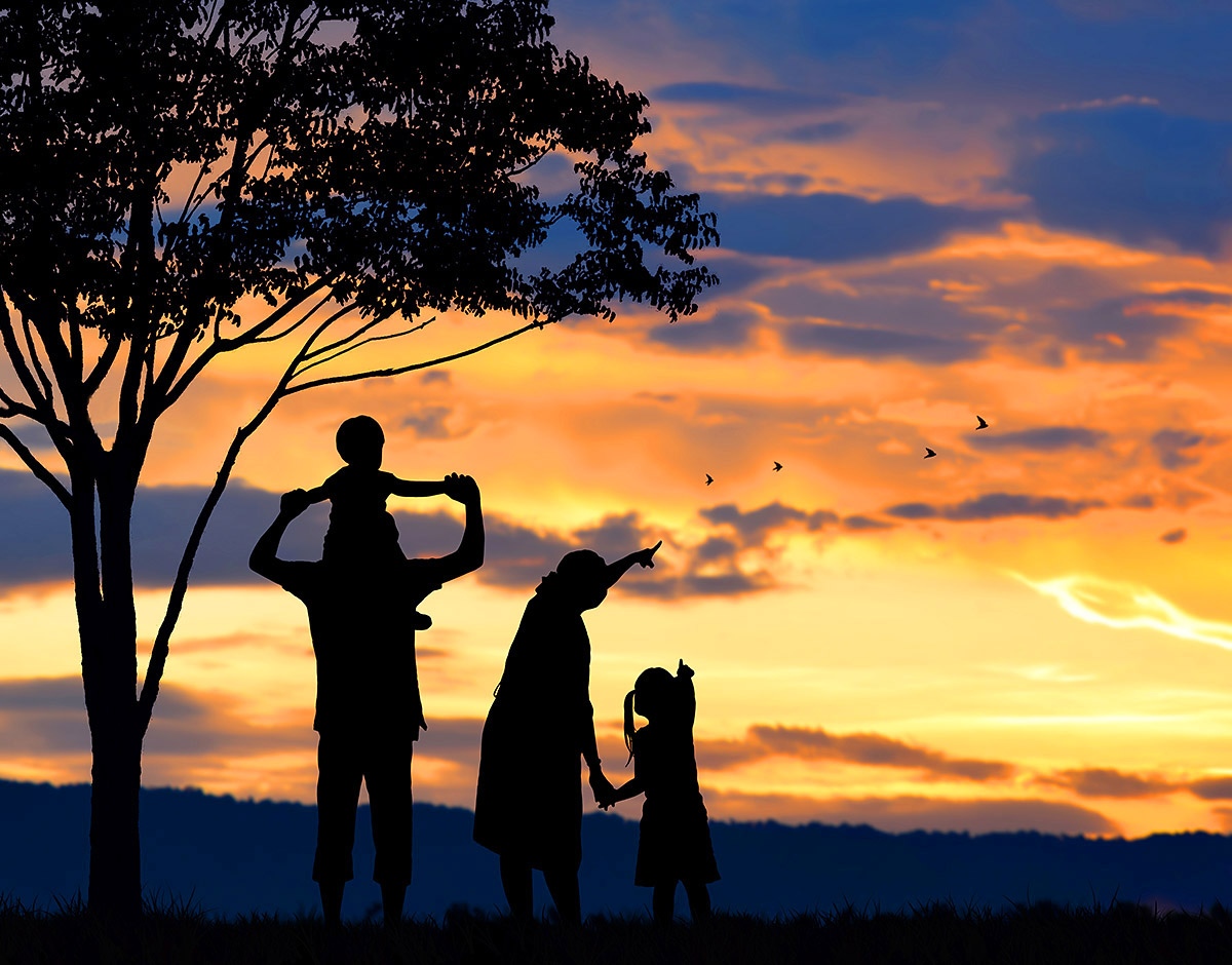 Parents and children watch flying birds at sunset Parents and children watch flying birds at sunset