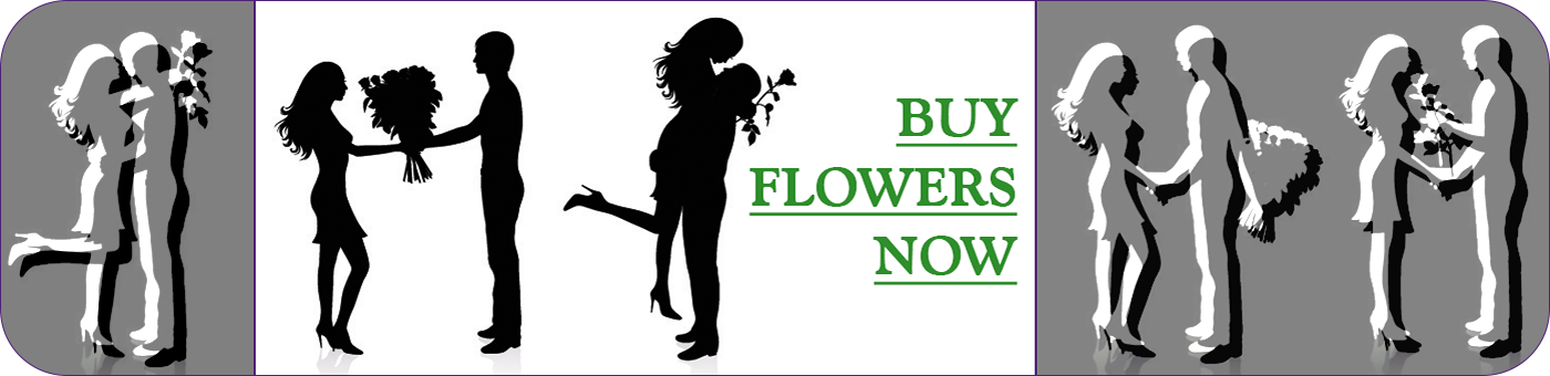 Header Ad