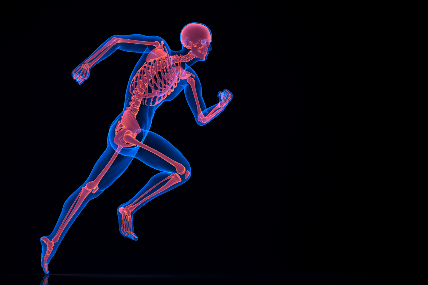 A 3D-rendered digital illustration shows a running human figure with a transparent, glowing blue body revealing the red-orange skeletal structure underneath.