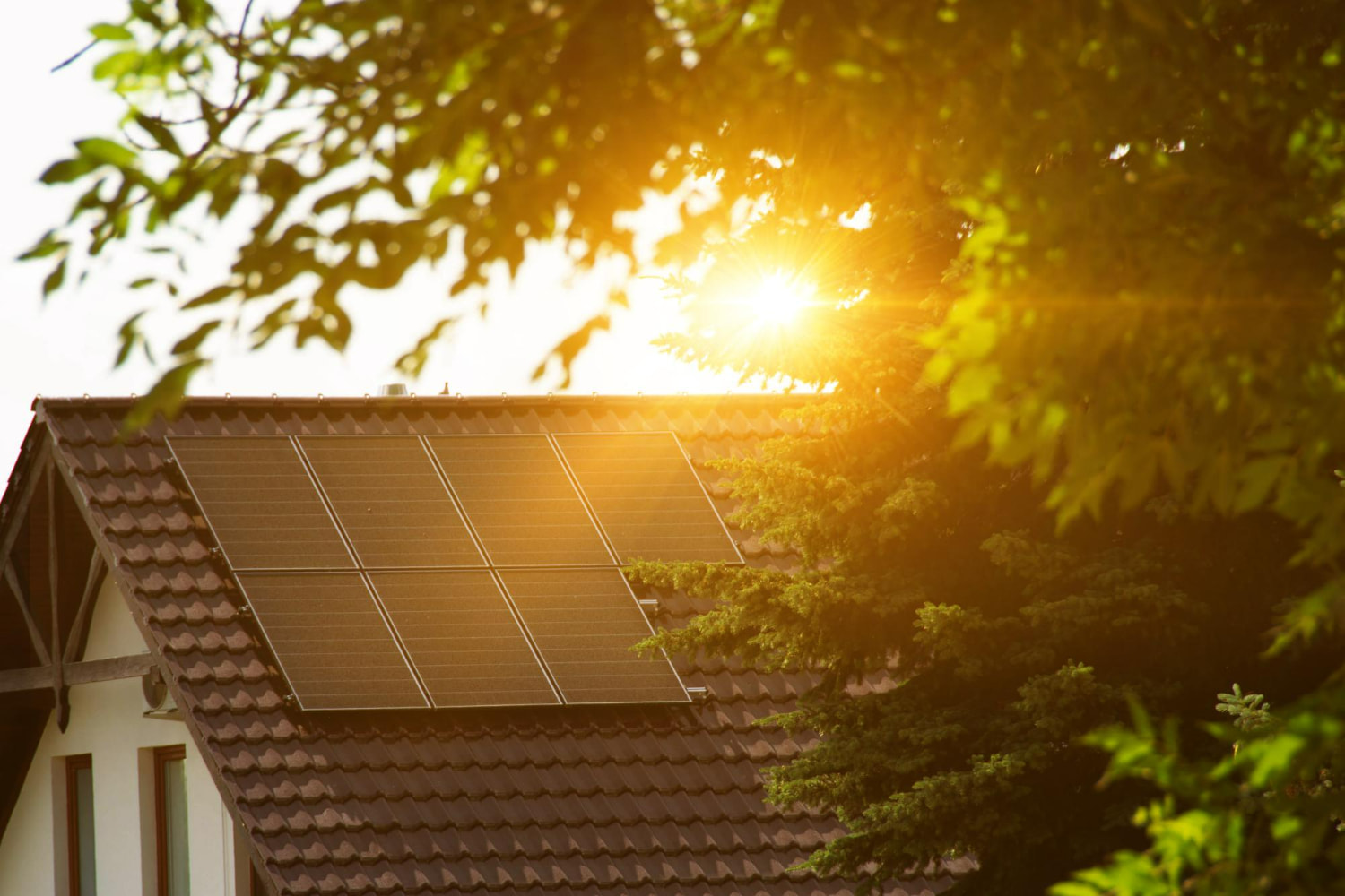 This serene photograph captures a residential home equipped with rooftop solar panels, illuminated by golden sunlight filtering through surrounding tree foliage.